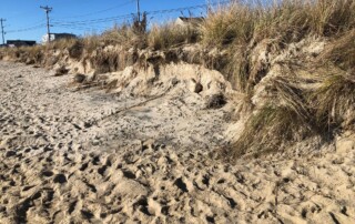 Dune Damage at Surf Drive Beach, Falmouth