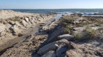 Rebecca Bevilacqua Beach Erosion 10-31-17 Mill Rd 1 150426RB 10-31-17 Fresh River 145953